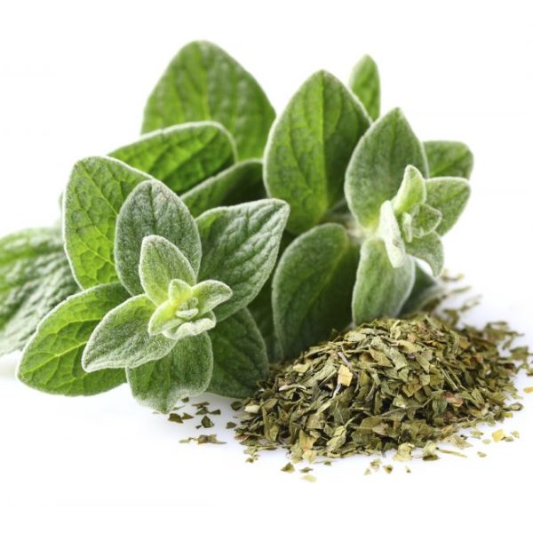 oregano